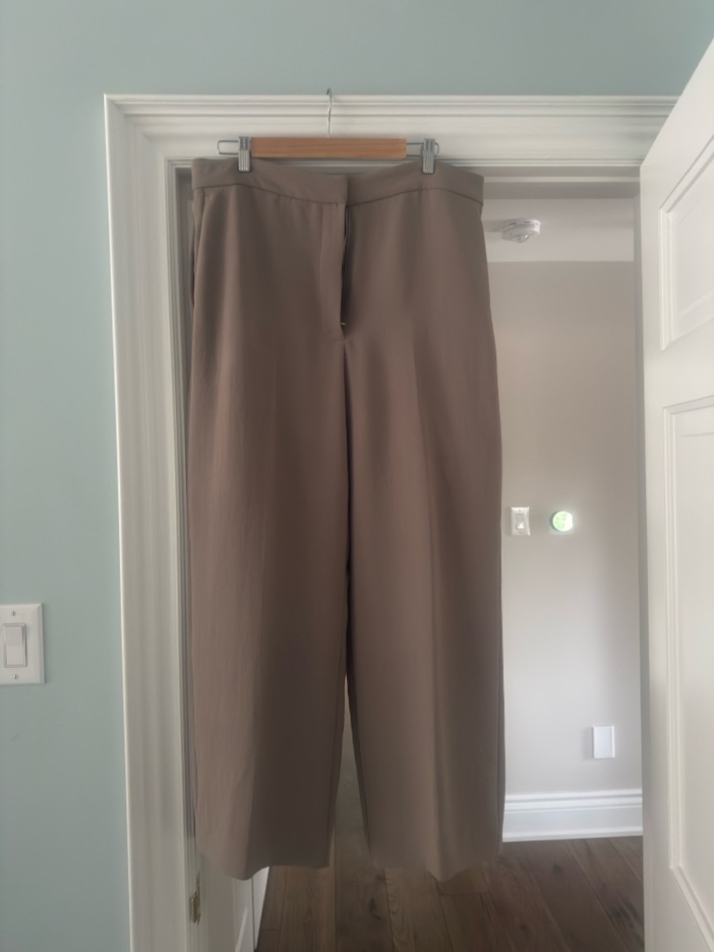 Aritzia Neutral Taupe Dress crepette Pants